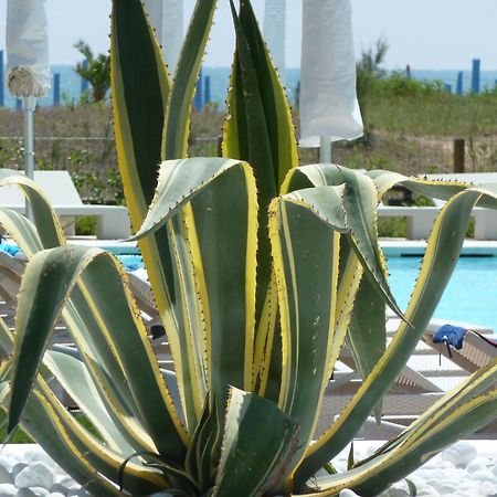 Hotel Mediterraneo Suite&Residence Lido di Jesolo Exteriör bild